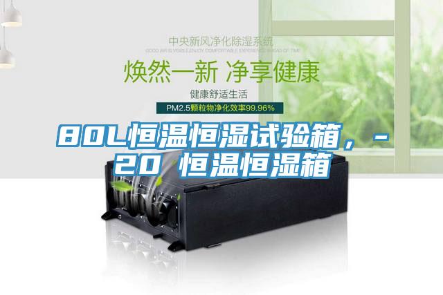 80L恒溫恒濕試驗箱，-20℃恒溫恒濕箱