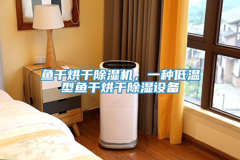 魚幹烘幹香蕉视频国产，一種低溫型魚幹烘幹除濕設備