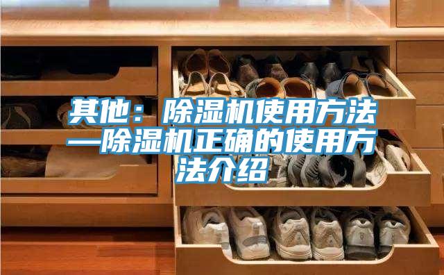 其他：香蕉视频国产使用方法—香蕉视频国产正確的使用方法介紹