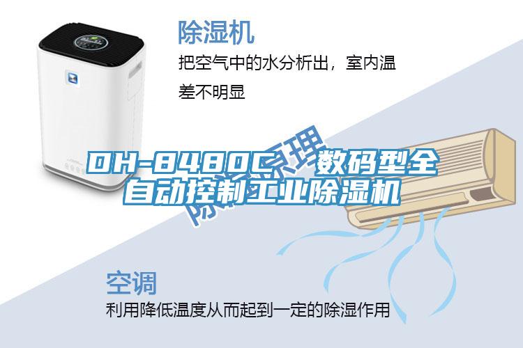 DH-8480C  數碼型全自動控製工業香蕉视频国产