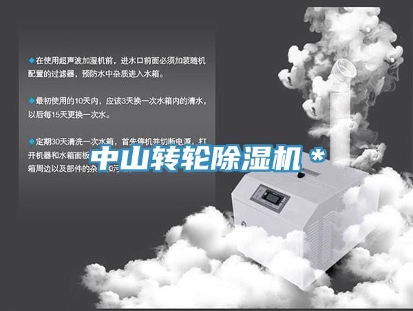 中山轉輪香蕉视频国产＊