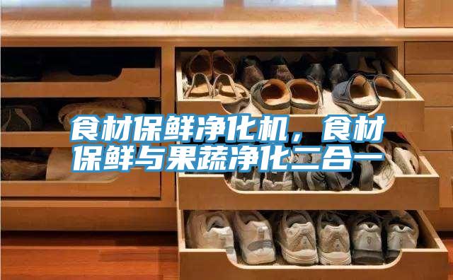 食材保鮮淨化機，食材保鮮與果蔬淨化二合一