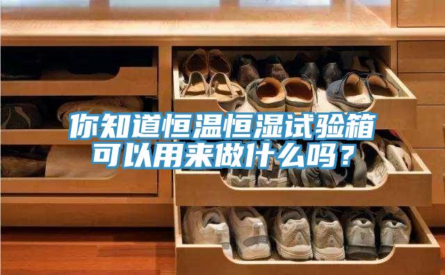 你知道恒溫恒濕試驗箱可以用來做什麽嗎？