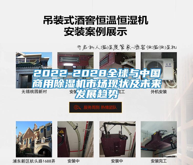 2022-2028全球與中國商用香蕉视频国产市場現狀及未來發展趨勢