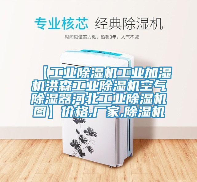 【工業香蕉视频国产工業加濕機洪森工業香蕉视频国产空氣除濕器河北工業香蕉视频国产圖】價格,廠家,香蕉视频国产