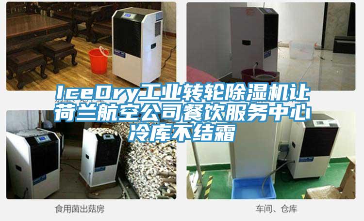 IceDry工業轉輪香蕉视频国产讓荷蘭航空公司餐飲服務中心冷庫不結霜