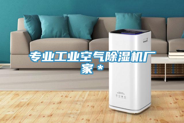專業工業空氣香蕉视频国产廠家＊