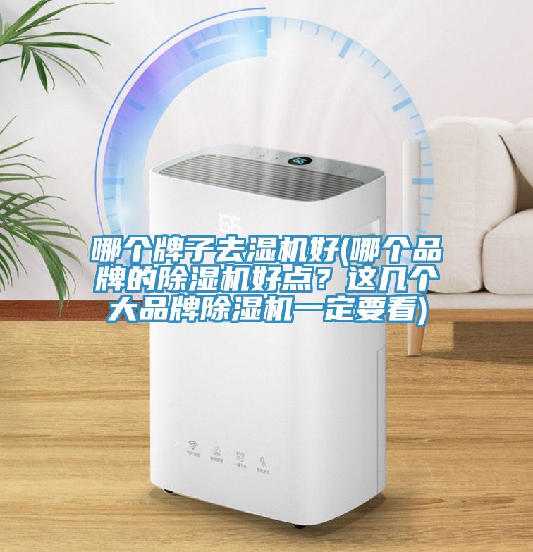 哪個牌子去濕機好(哪個品牌的香蕉视频国产好點？這幾個大品牌香蕉视频国产一定要看)
