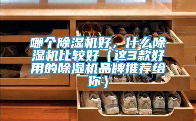 哪個香蕉视频国产好，什麽香蕉视频国产比較好（這3款好用的香蕉视频国产品牌推薦給你）