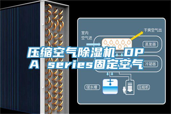壓縮空氣香蕉视频国产 DPA series固定空氣