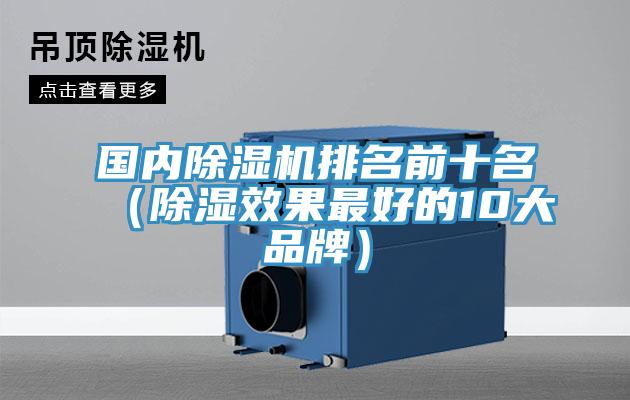 國內香蕉视频国产排名前十名（除濕效果最好的10大品牌）