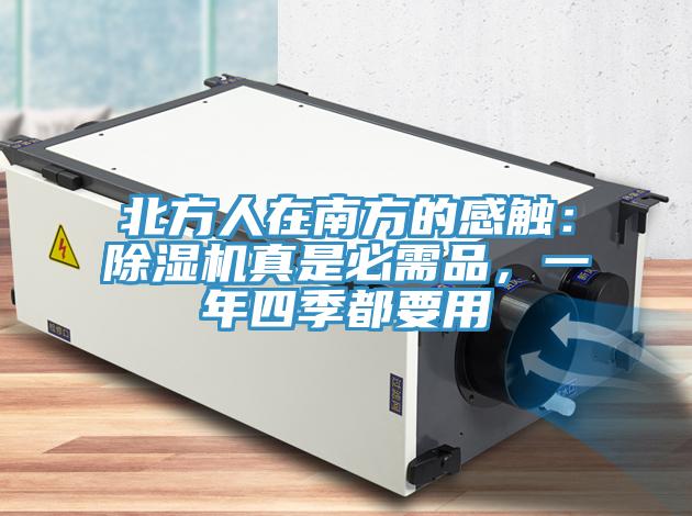 北方人在南方的感觸：香蕉视频国产真是必需品，一年四季都要用