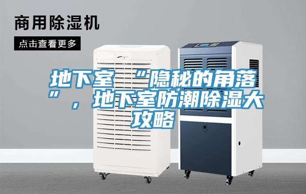 地下室≠“隱秘的角落”，地下室防潮除濕大攻略