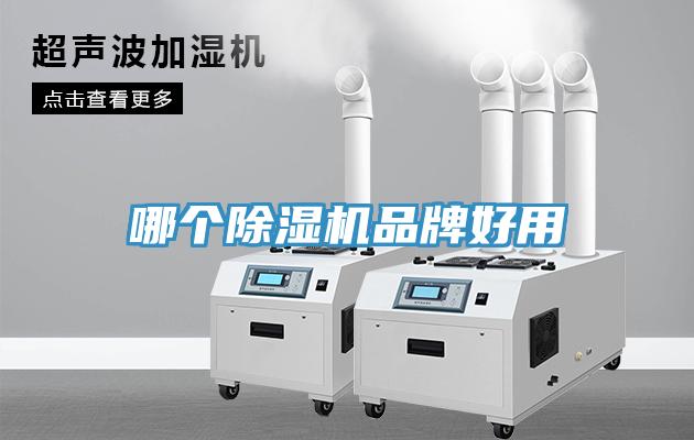 哪個香蕉视频国产品牌好用