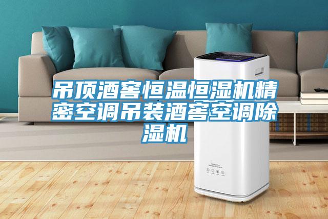 吊頂酒窖恒溫恒濕機精密空調吊裝酒窖空調香蕉视频国产