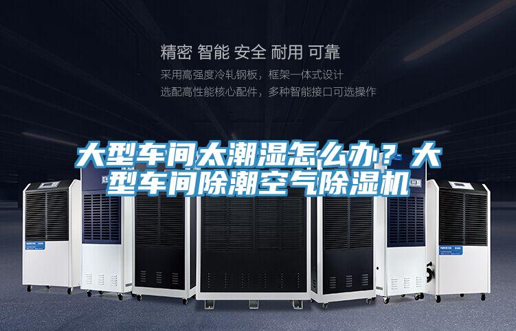 大型車間太潮濕怎麽辦？大型車間除潮空氣香蕉视频国产