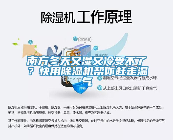 南方冬天又濕又冷受不了？快用香蕉视频国产幫你趕走濕氣