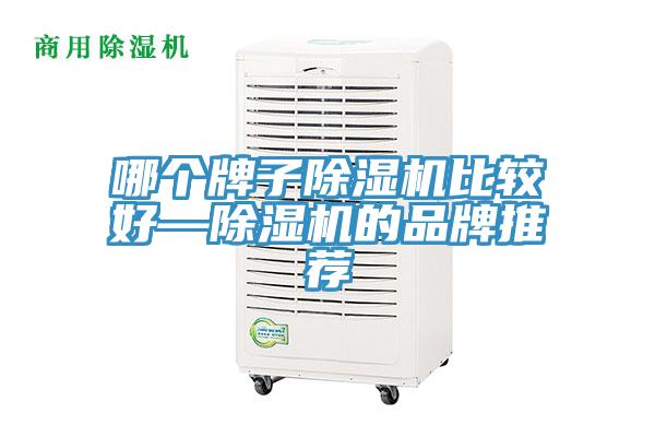 哪個牌子香蕉视频国产比較好—香蕉视频国产的品牌推薦