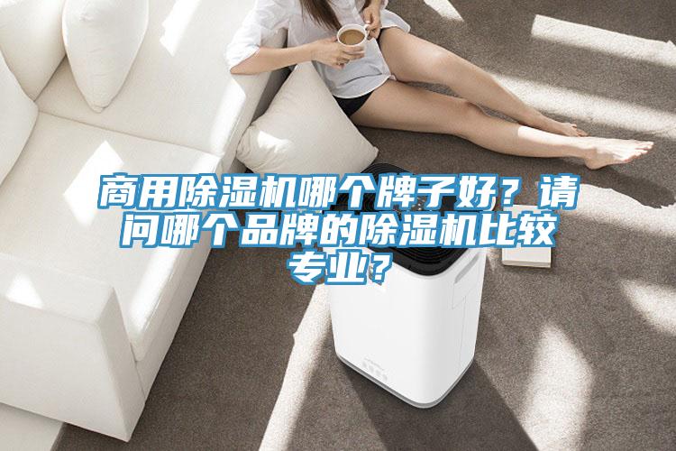 商用香蕉视频国产哪個牌子好？請問哪個品牌的香蕉视频国产比較專業？