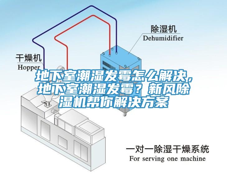 地下室潮濕發黴怎麽解決，地下室潮濕發黴？新風香蕉视频国产幫你解決方案