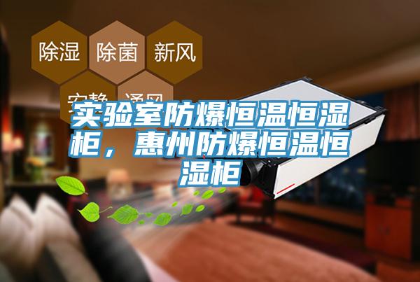 實驗室防爆恒溫恒濕櫃，惠州防爆恒溫恒濕櫃