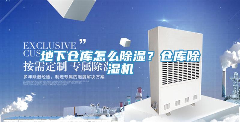 地下倉庫怎麽除濕？倉庫香蕉视频国产
