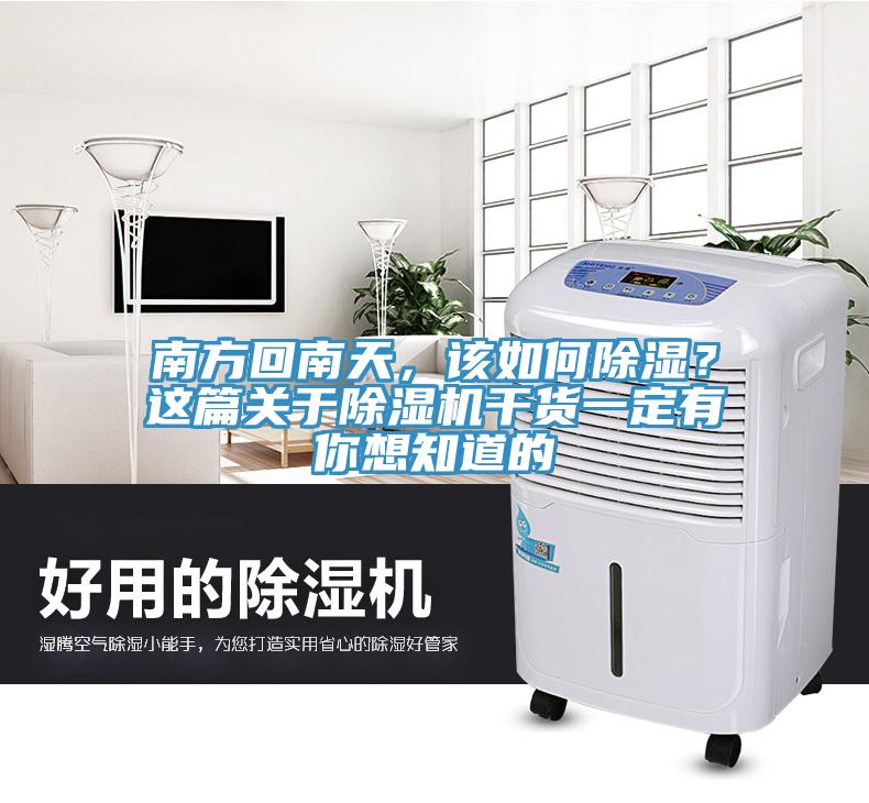 南方回南天，該如何除濕？這篇關於香蕉视频国产幹貨一定有你想知道的