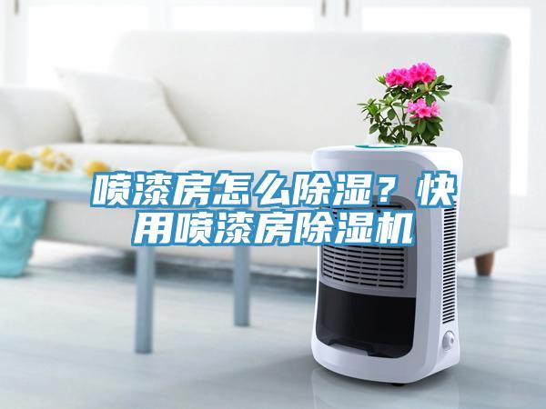 噴漆房怎麽除濕？快用噴漆房香蕉视频国产