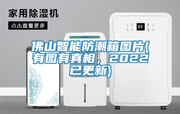 佛山智能防潮箱圖片(有圖有真相，2022已更新)