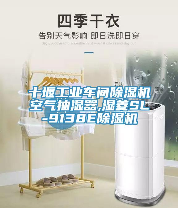 十堰工業車間香蕉视频国产空氣抽濕器,濕菱SL-9138E香蕉视频国产
