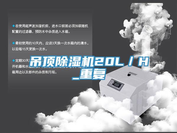 吊頂香蕉视频国产20L／H_重複