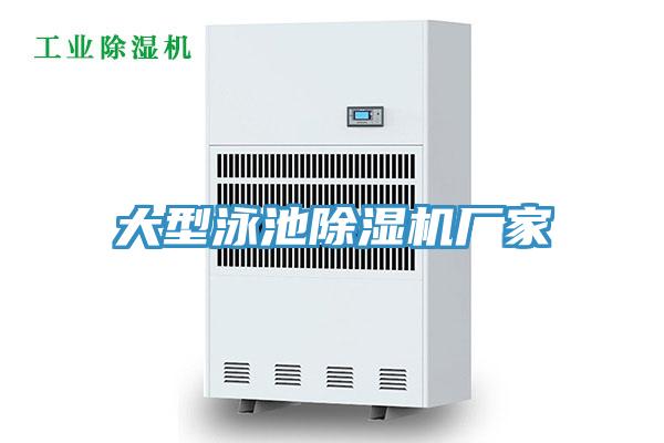 大型泳池香蕉视频国产廠家