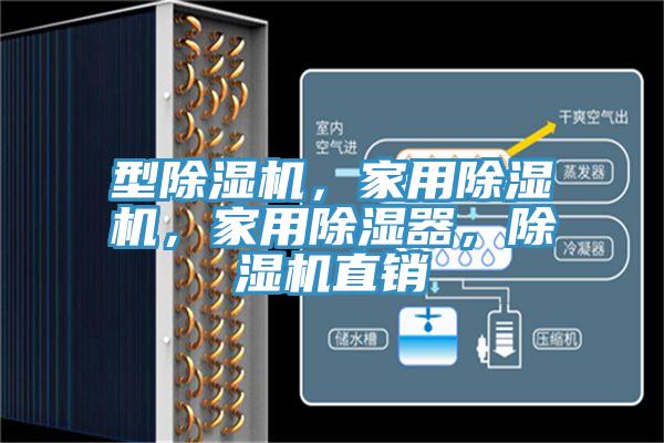 型香蕉视频国产，家用香蕉视频国产，家用除濕器，香蕉视频国产直銷