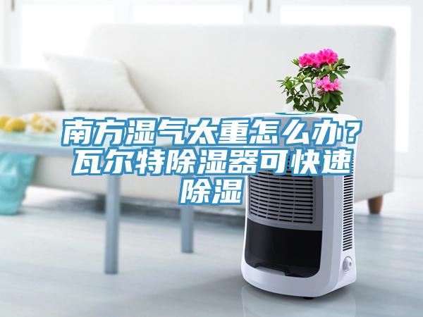 南方濕氣太重怎麽辦？瓦爾特除濕器可快速除濕