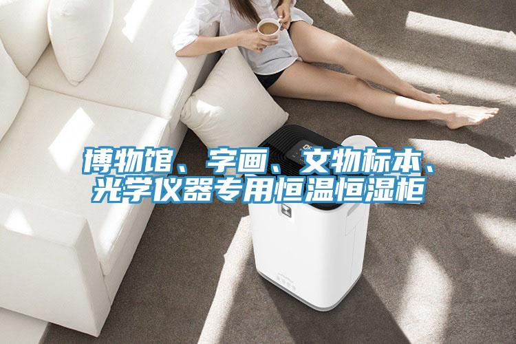 博物館、字畫、文物標本、光學儀器專用恒溫恒濕櫃