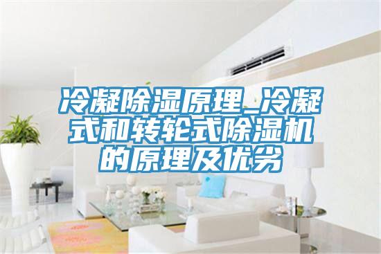 冷凝除濕原理_冷凝式和轉輪式香蕉视频国产的原理及優劣