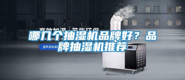 哪幾個抽濕機品牌好？品牌抽濕機推薦