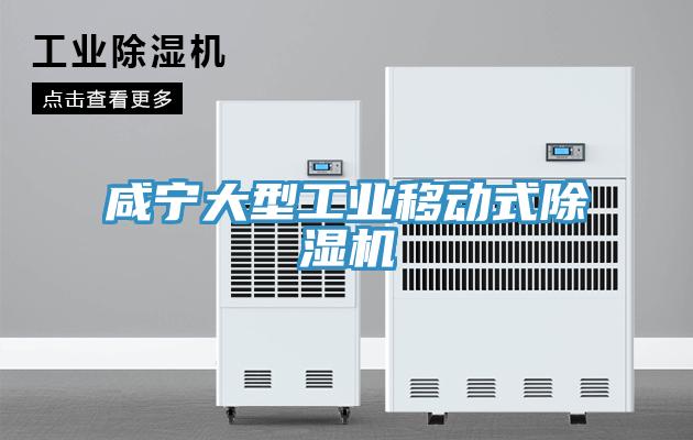 鹹寧大型工業移動式香蕉视频国产