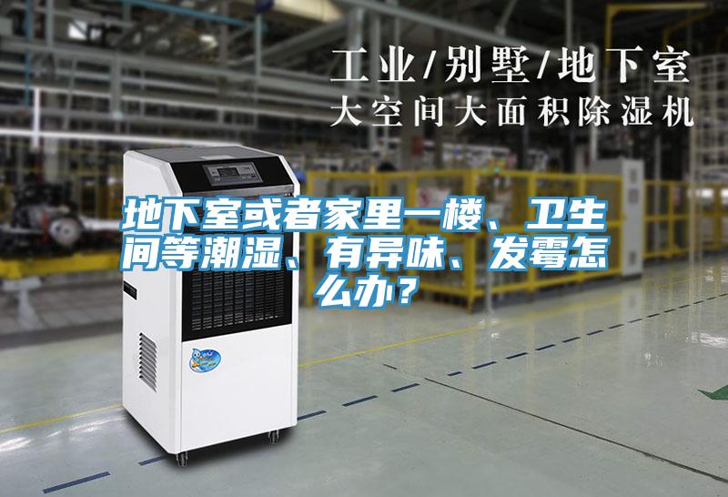 地下室或者家裏一樓、衛生間等潮濕、有異味、發黴怎麽辦？