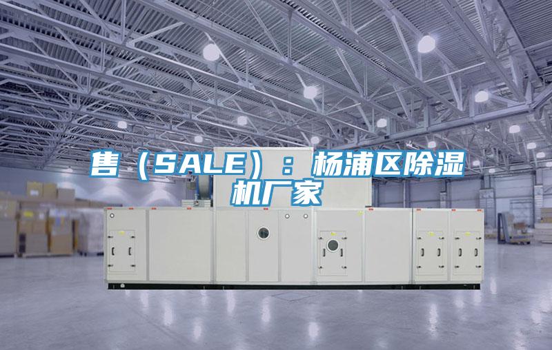 售（SALE）：楊浦區香蕉视频国产廠家