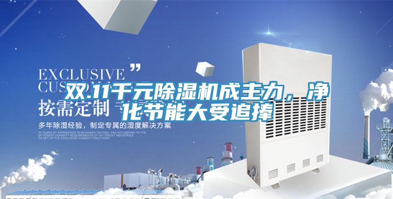 雙.11千元香蕉视频国产成主力，淨化節能大受追捧