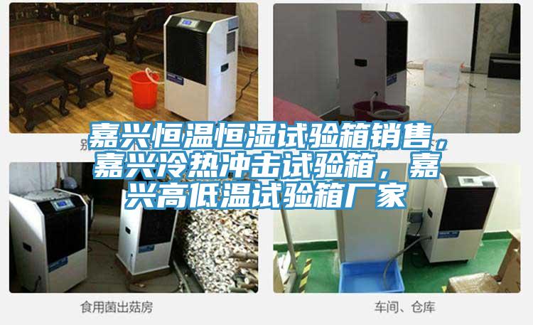 嘉興恒溫恒濕試驗箱銷售，嘉興冷熱衝擊試驗箱，嘉興高低溫試驗箱廠家