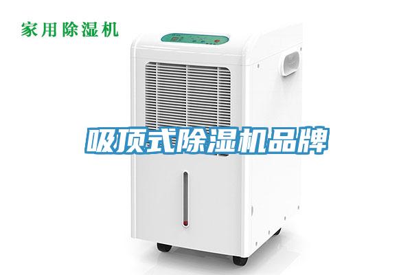 吸頂式香蕉视频国产品牌