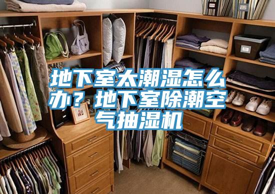 地下室太潮濕怎麽辦？地下室除潮空氣抽濕機