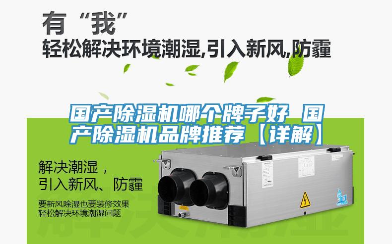 國產香蕉视频国产哪個牌子好 國產香蕉视频国产品牌推薦【詳解】