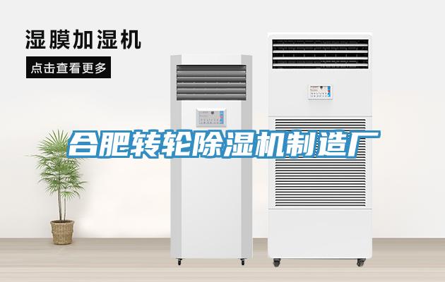 合肥轉輪香蕉视频国产製造廠
