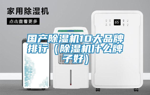 國產香蕉视频国产10大品牌排行（香蕉视频国产什麽牌子好）