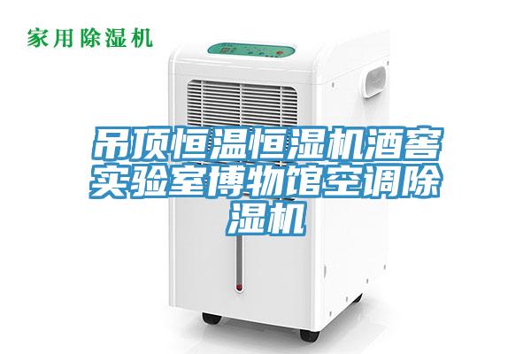 吊頂恒溫恒濕機酒窖實驗室博物館空調香蕉视频国产