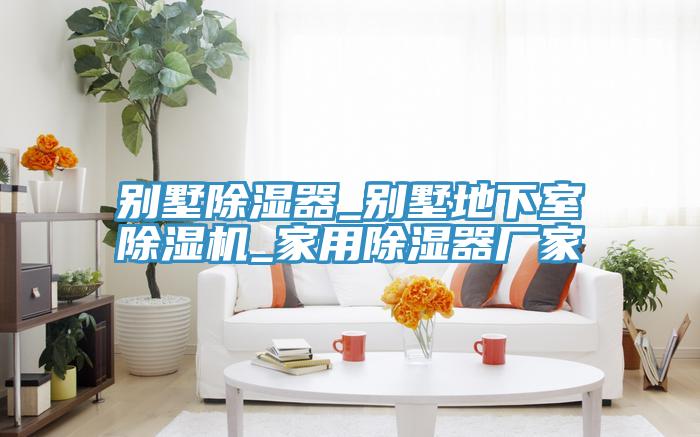 別墅除濕器_別墅地下室香蕉视频国产_家用除濕器廠家