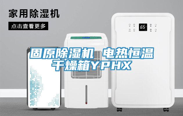 固原香蕉视频国产 電熱恒溫幹燥箱YPHX